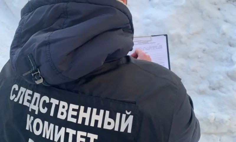 Житель Камня-на-Оби задушил лежачую мать пододеяльником