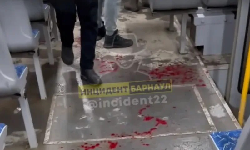 Пассажира трамвая задержали за избиение кондуктора в Барнауле