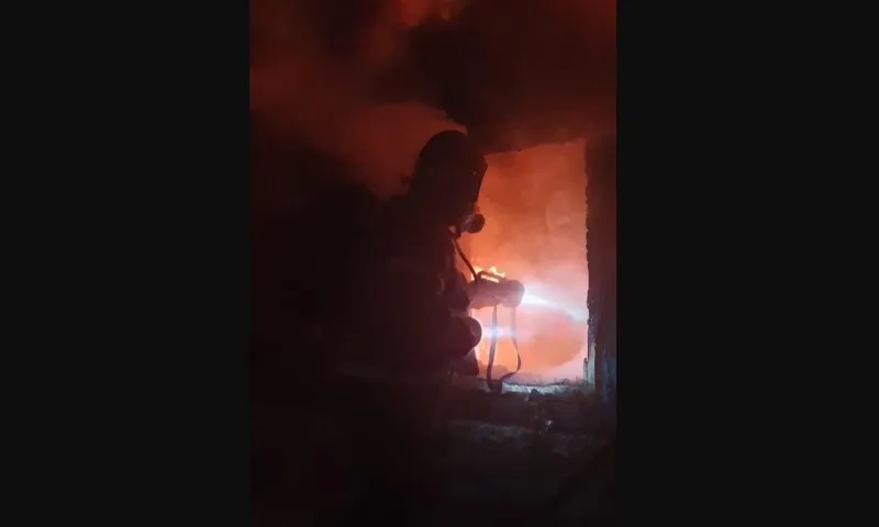 Мужчина погиб при пожаре в Зональном районе