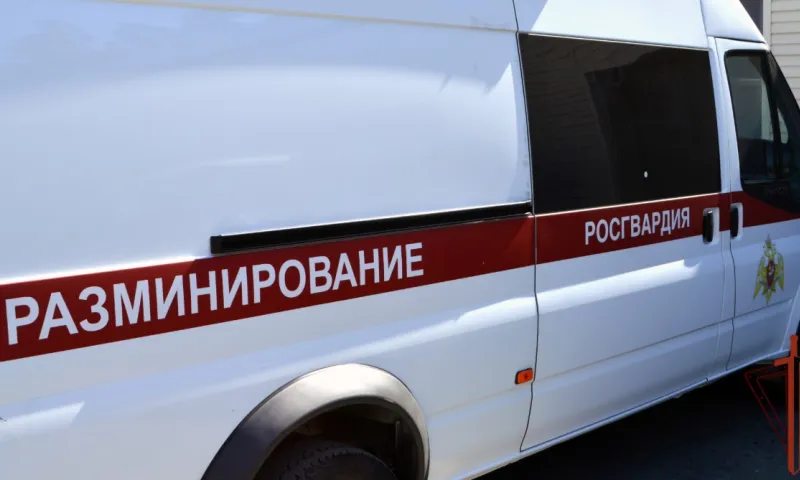 Боевую гранату обнаружили на территории домовладения в Яровом