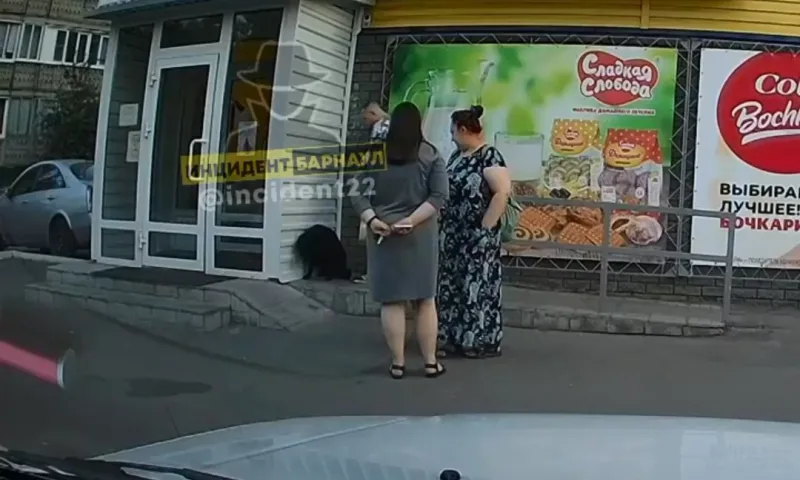 Хозяин жестоко избил свою собаку возле магазина в Барнауле