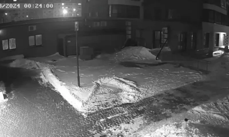 Видео 18+: В Барнауле выкинули кота с 7 этажа