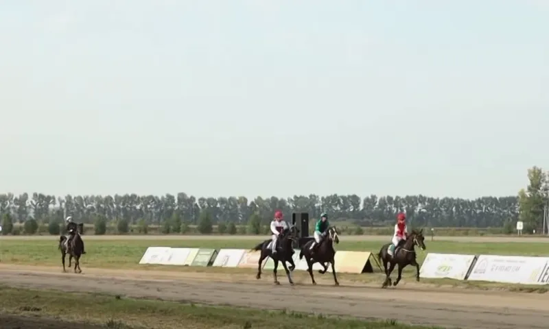 Барнаульский ипподром готовится к открытию бегового сезона