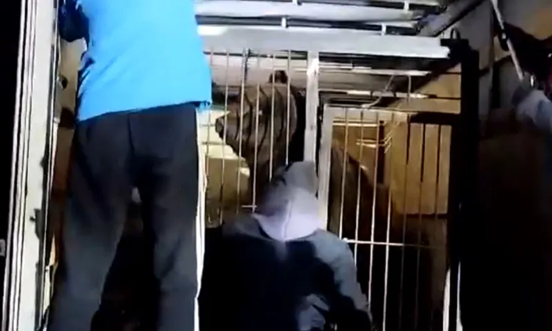 Новый питомец поселился в барнаульском зоопарке