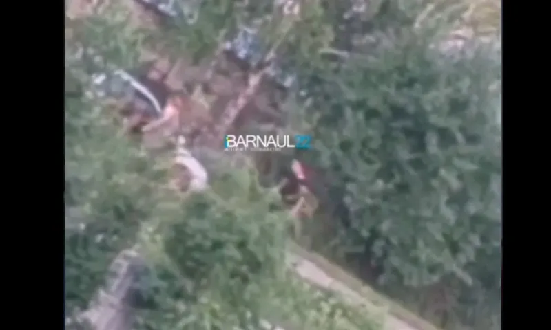 Председатель СК России поручил возбудить уголовное дело по факту избиения подростка в пригороде Барнаула