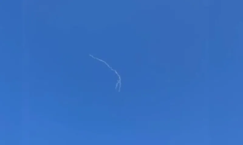 В небе над Алтайским краем снова заметили лебедей