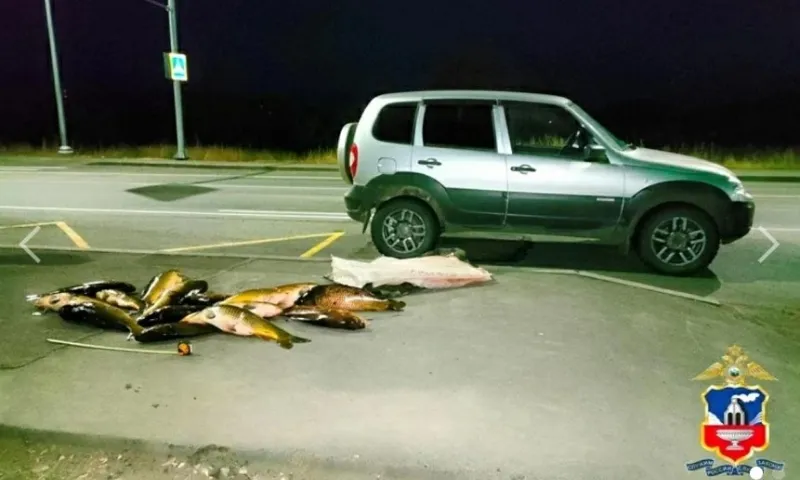 Житель Алтайского края попал под суд за вылов сазанов при помощи остроги