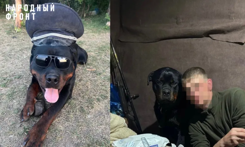 Боец из Алтайского края защищает Родину вместе с четвероногим другом 