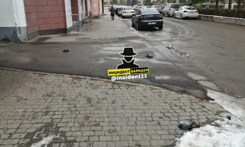 Соцсети: неизвестный расстрелял голубей в центре Барнаула
