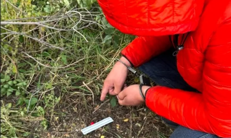 Закладчика из ближнего зарубежья поймали в Барнауле