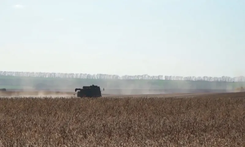 Даже в сложных погодных условиях этой осени алтайские аграрии готовы установить рекорд по урожаю