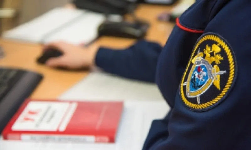 Сообщники из Барнаула предстали перед судом за убийство жителя Новосибирской области
