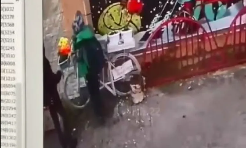 Школьники попытались угнать велосипед с цветами в Барнауле