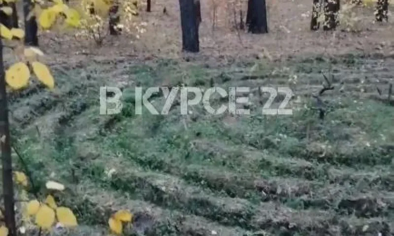 Барнаулец нашел спиральный лабиринт в лесу