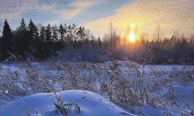 Семен и Анна: традиции и приметы на 16 февраля