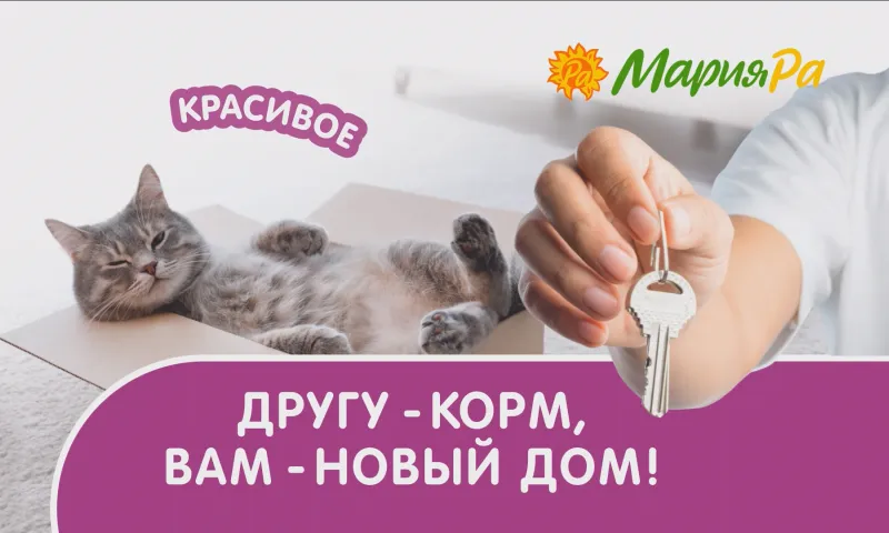 Прямая трансляция розыгрыша призов от компании «Мария-Ра»