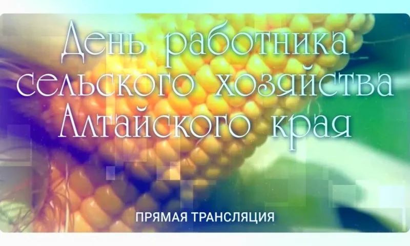 Прямая трансляция: День работника сельского хозяйства Алтайского края