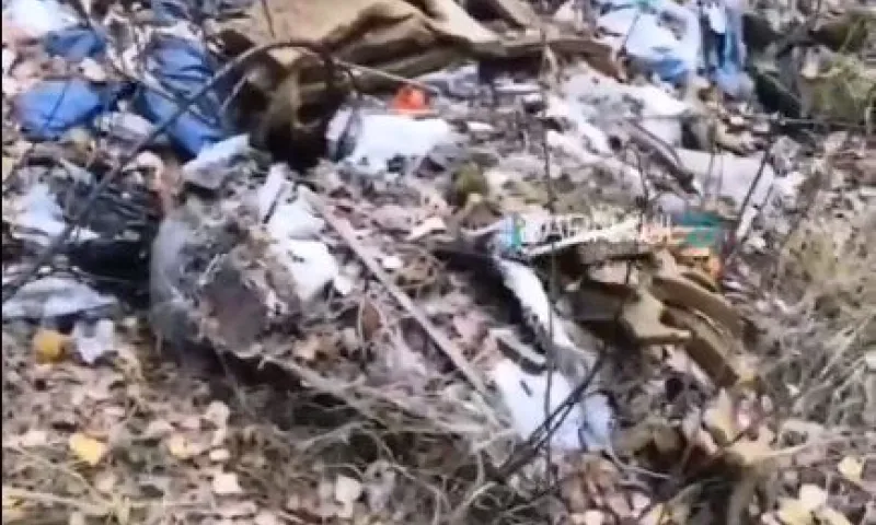 Придорожная свалка образовалась возле леса в Алтайском крае