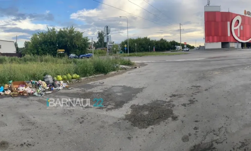 На стоянке возле барнаульского ТЦ «Волна» образовалась свалка из пищевых отходов