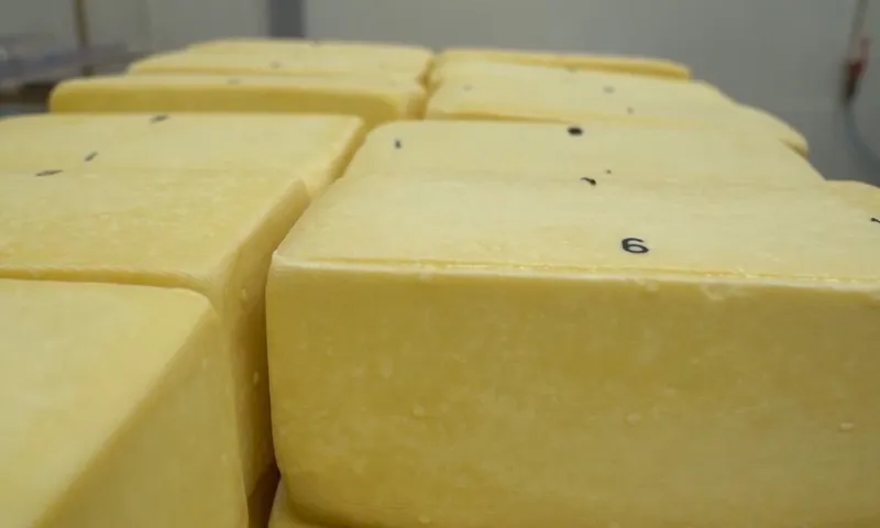 Алтайские продукты отмечают Российским знаком качества