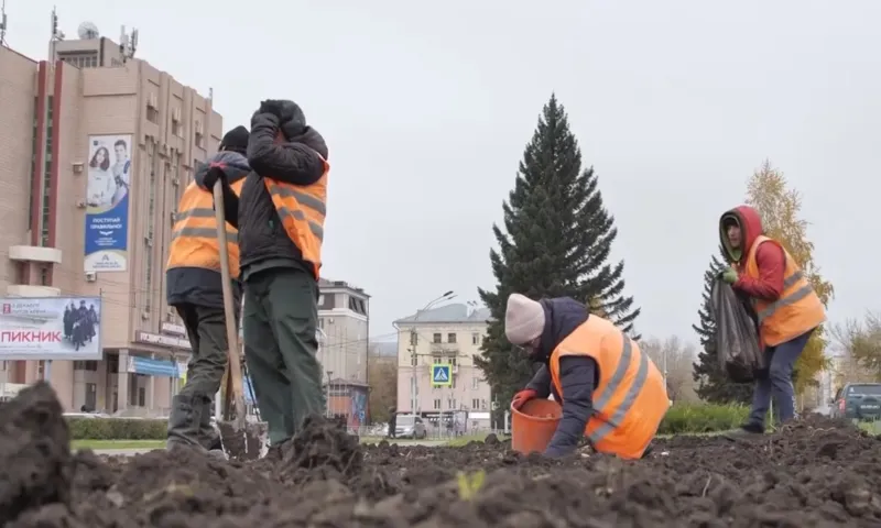 75 тысяч тюльпанов высадят в Барнауле
