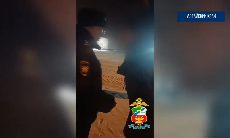 Пьяного авиадебошира привлекли к ответственности в Барнауле