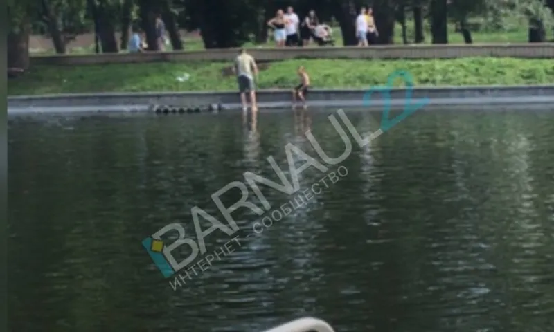 Ребёнок чуть не утонул в пруду барнаульского парка