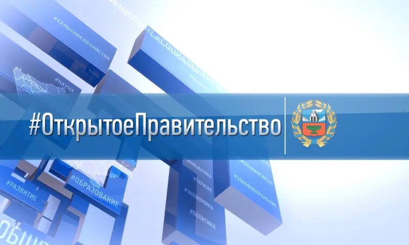 «Открытое правительство»: заместитель начальника управления имущественных отношений Алтайского края Наталья Гончикова