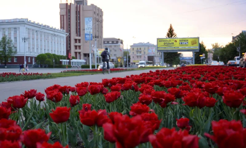 Более 400 тысяч цветов высадят на барнаульских клумбах