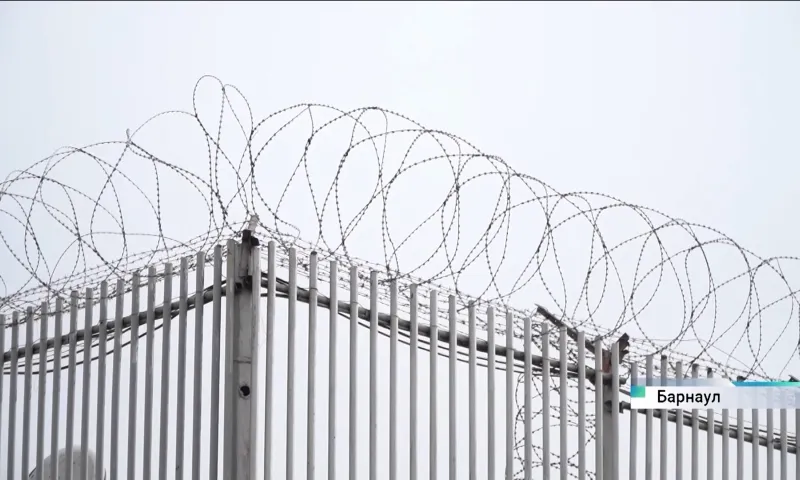 Жители Алтайского края попросили заменить исправительные работы на лишение срока
