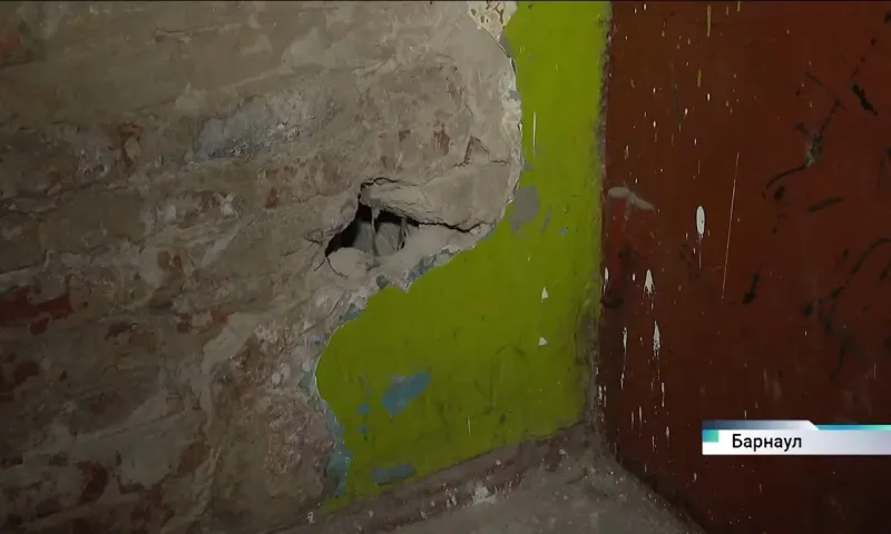 «Дом скоро разрушится полностью, мне кажется»: жители барнаульской многоэтажки пытаются добиться ремонта от ЖЭУ