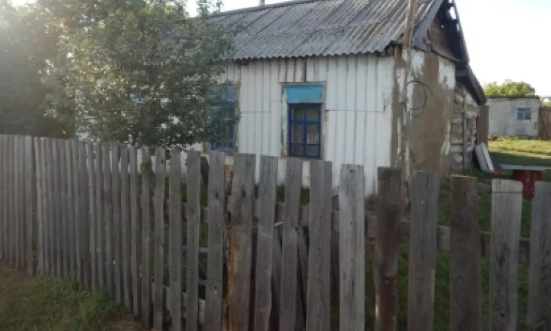 Нетрезвый мужчина убил подругу сожительницы в Алтайском крае
