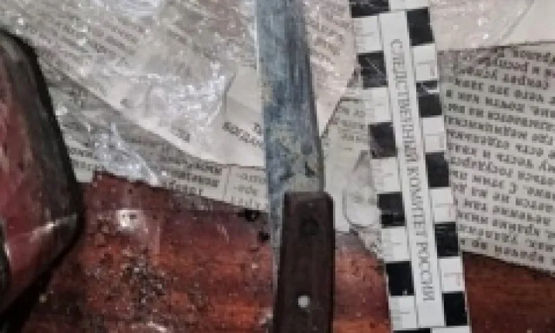 Смертоносного сельчанина заключили под стражу в Алтайском крае