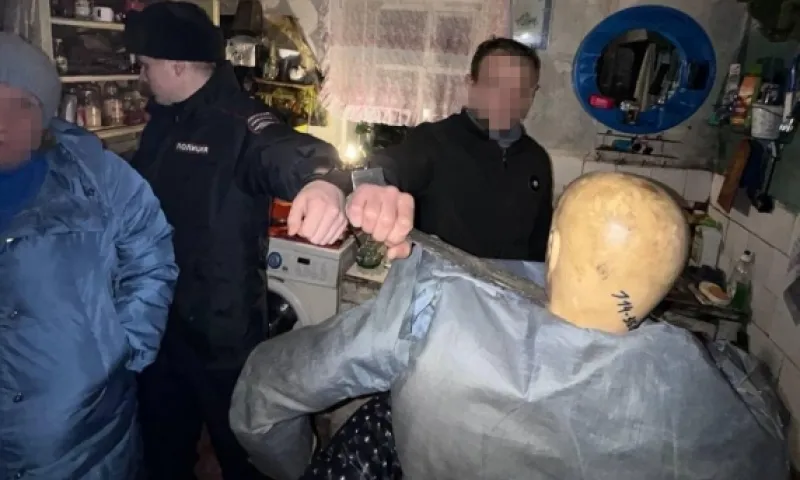 Мужчина, защищая престарелую мать, убил сводного брата в Барнауле 