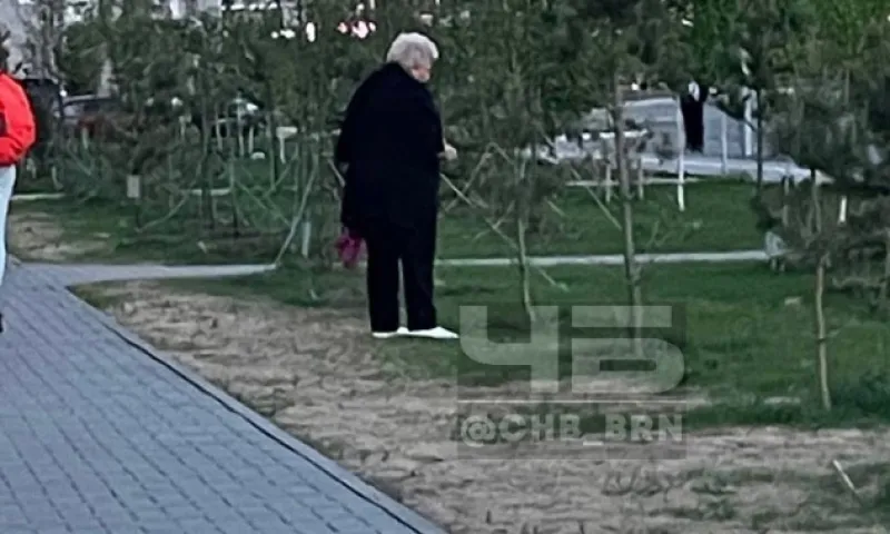 Пенсионерки-рецидивистки продолжают уничтожать молодые деревья Барнаула