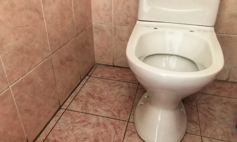 Вынесено решение по делу о краже двух унитазов в школе Алтайского края