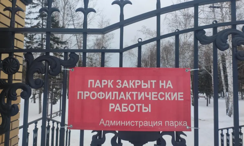 Барнаульский парк «Центральный» закрылся на профилактические работы 