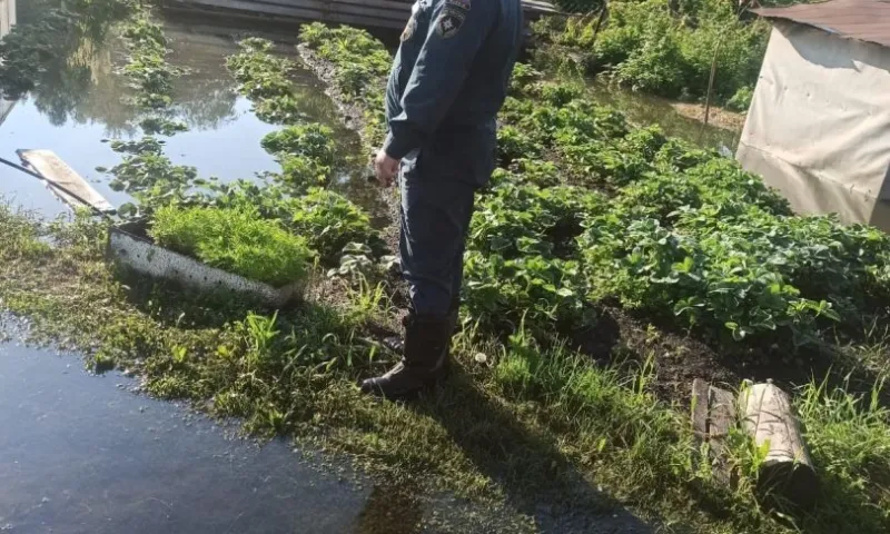 Вода в Оби поднялась выше критической отметки в Усть-Пристанском районе