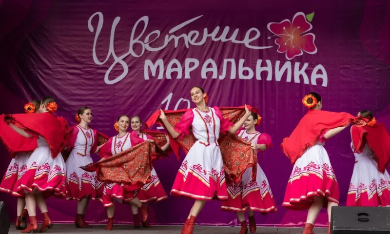 Фестиваль «Цветение маральника» пройдёт этой весной на Алтае