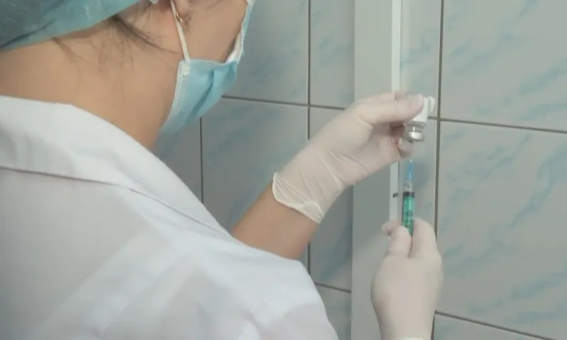 Барнаульский ветеринар рассказала, нужно ли вакцинировать домашних животных