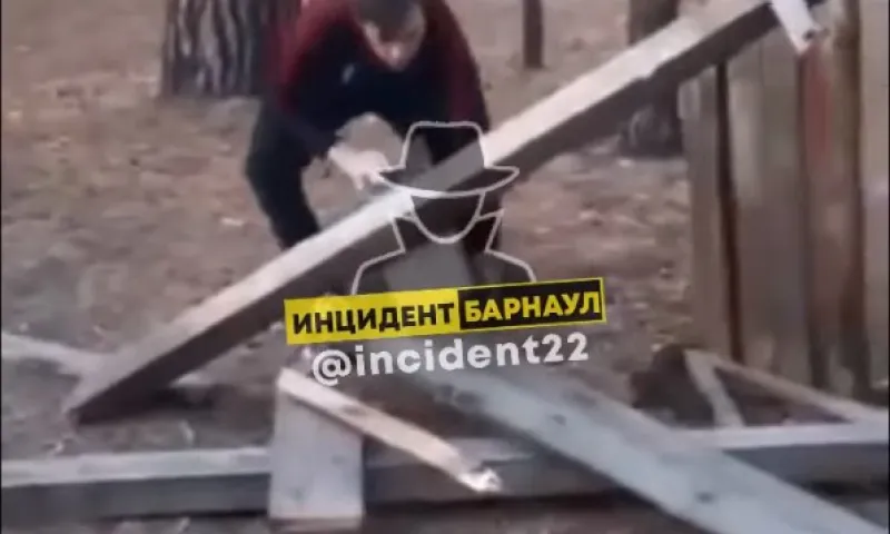 «‎Мы же дети! Нам всё можно!» Подростки разрушили беседку в лесу Барнаула