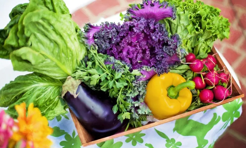 Продуктовые ярмарки проведут в грядущие выходные в Барнауле