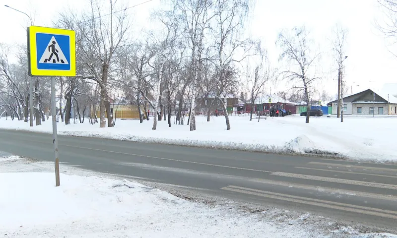 Жительница Барнаула спасла от смерти ребенка, который чуть не попал под колеса маршрутки