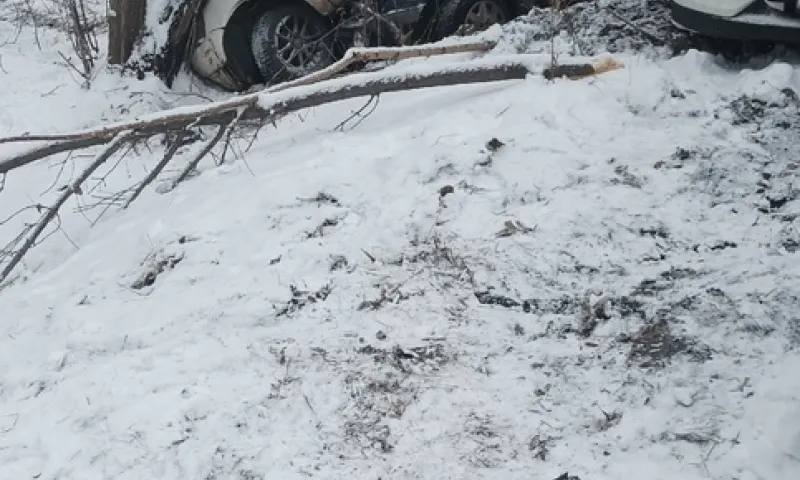 Серьезное ДТП случилось в Барнауле