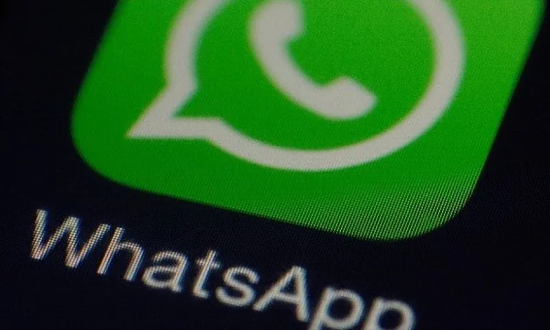 Как сохранить переписки из WhatsApp