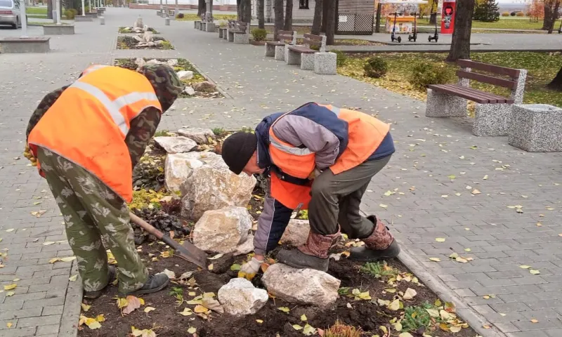 45 тысяч тюльпанов расцветут будущей весной на барнаульских клумбах