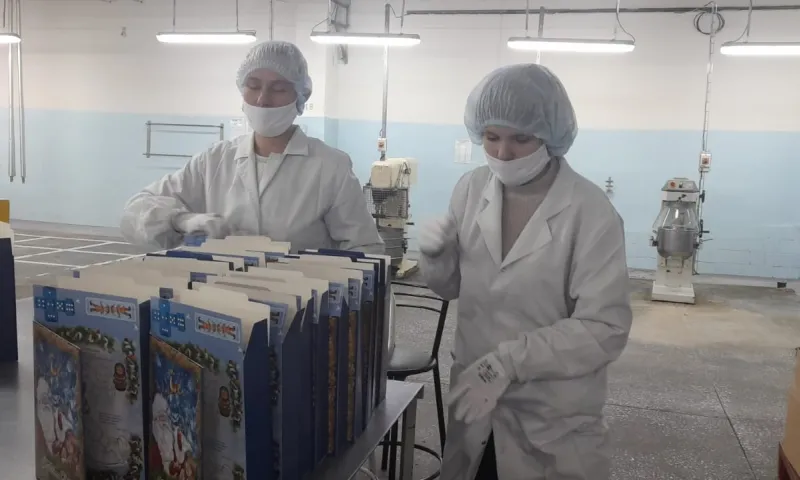 Около 128 тысяч школьников Алтайского края получат губернаторские новогодние подарки