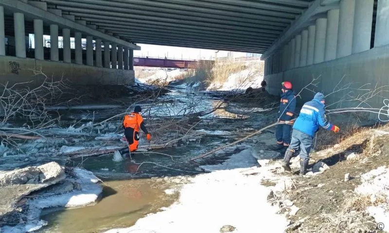 Русло и берег Барнаулки привели в порядок