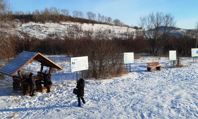 В заказнике «Лебединый» в Алтайском крае установили беседки и скамейки