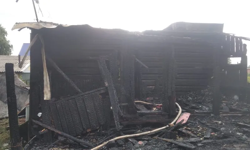 Два ребёнка и их бабушка погибли при пожаре в Алтайском крае